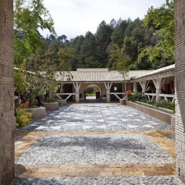 VIDA DE CAMPO