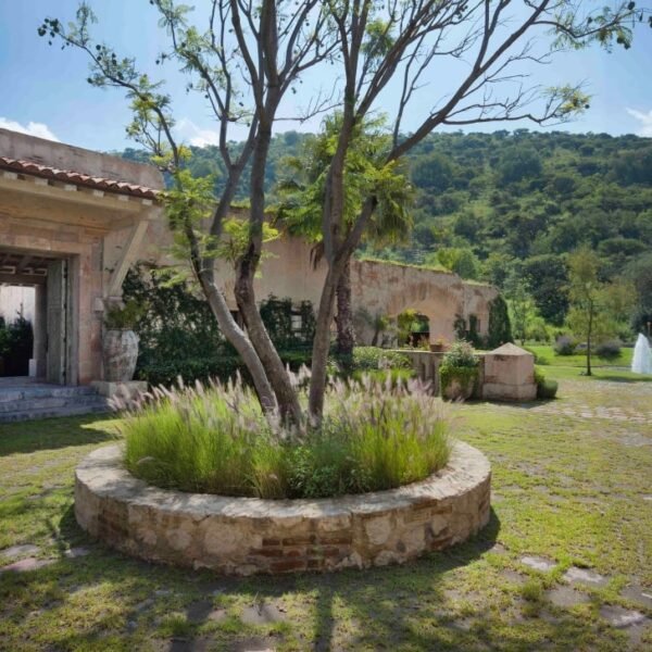 VIDA DE CAMPO