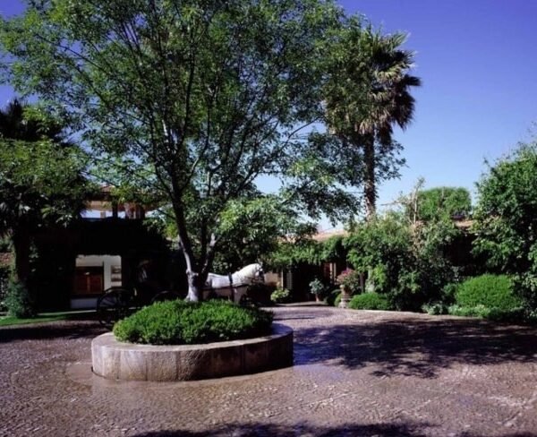 VIDA DE CAMPO