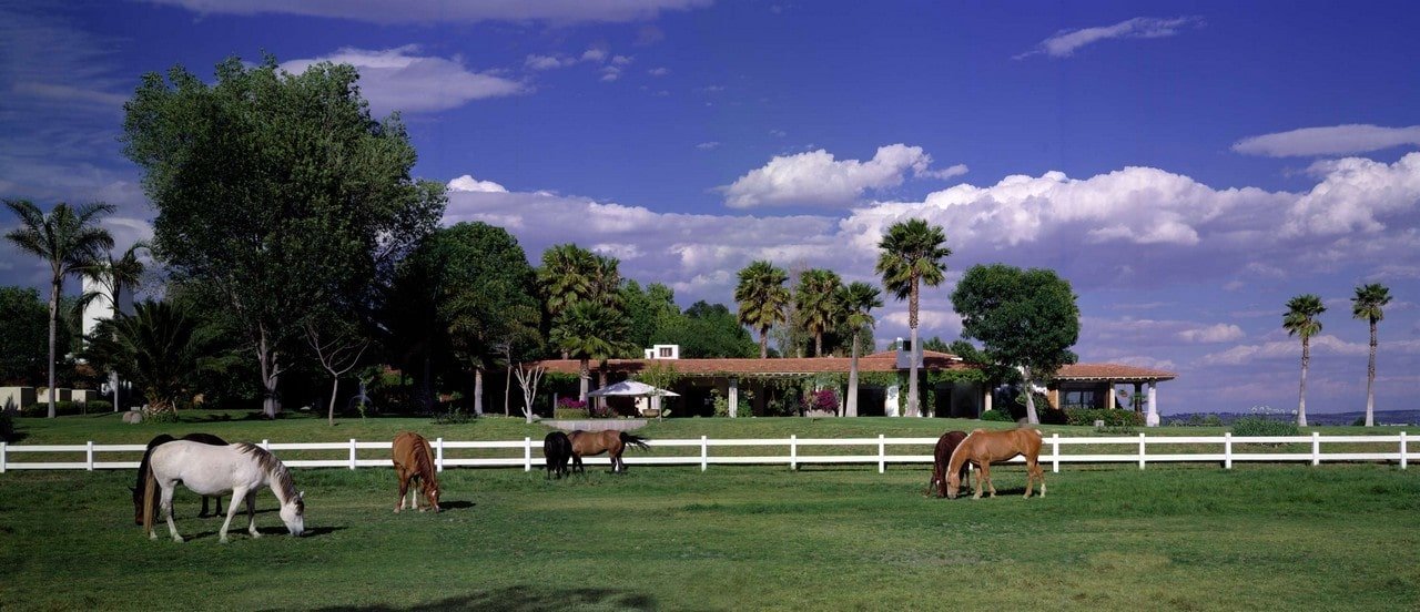 VIDA DE CAMPO